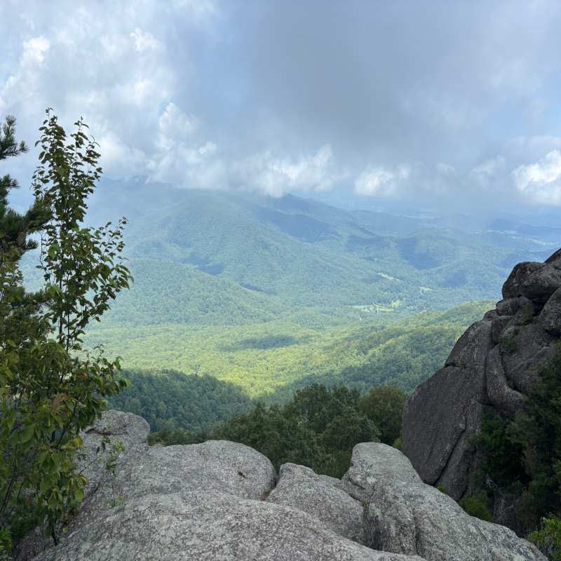 Cranio-Sacral Therapy